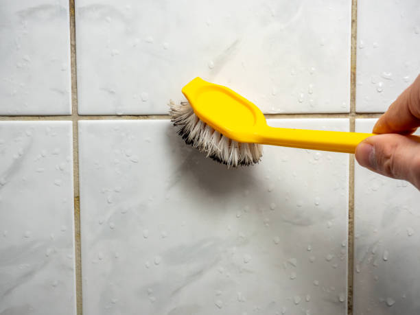 Best Mold Remediation  in Angleton, TX