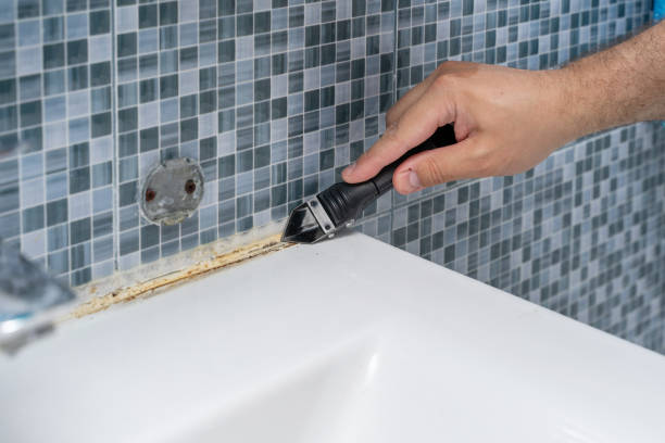 Best Mold Testing  in Angleton, TX
