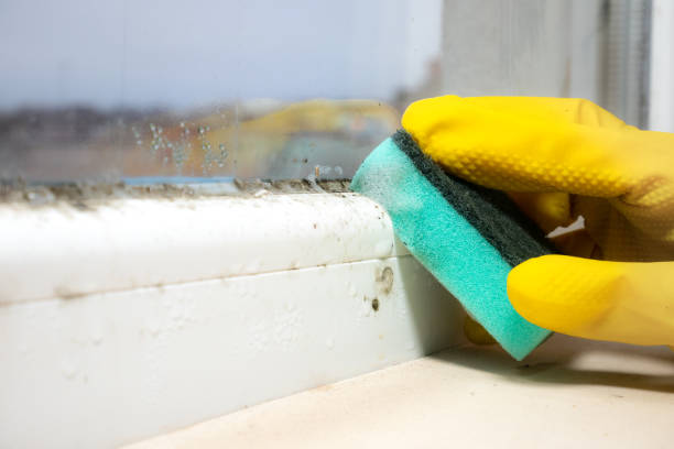 Water Damage Restoration in Angleton, TX